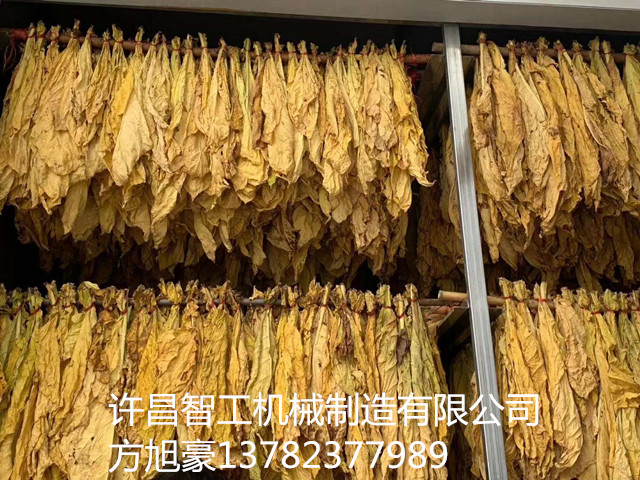 寰俊鍥剧墖_20200810184843.jpg 寰俊鍥剧墖_20200810184843.jpg